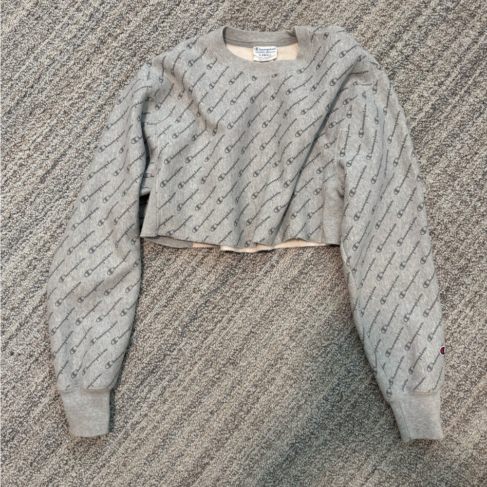 Champion Gray Cropped Sweatshirt